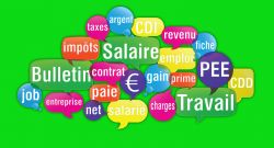 Nos prestations sur le secteur de La Teste de Buch 33260 proche d'Arcachon